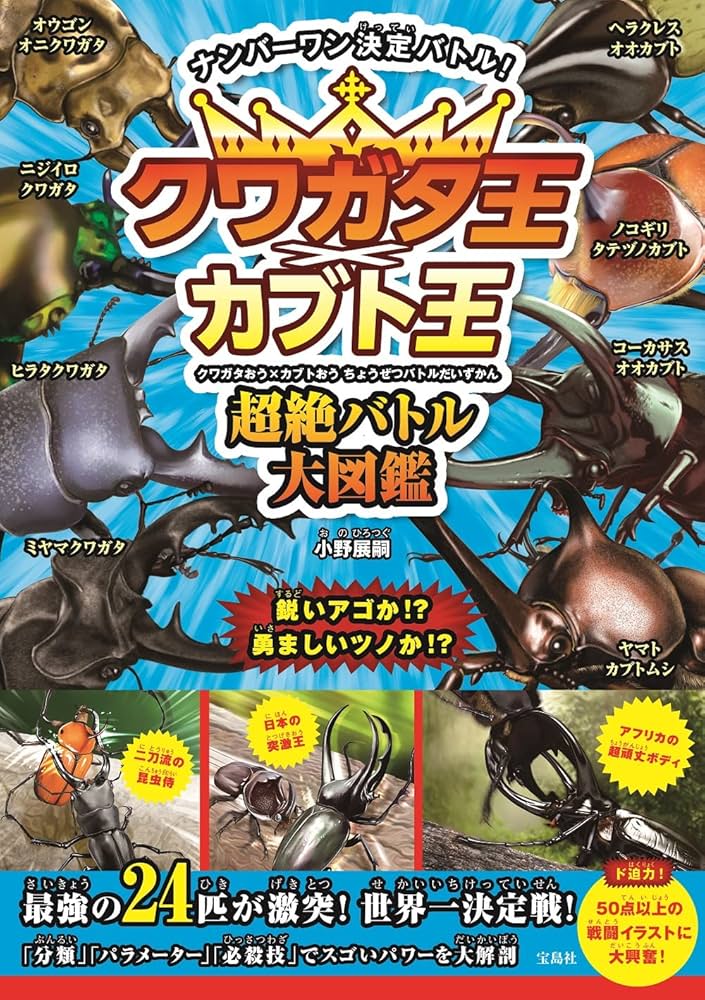 大型クワガタ・カブトムシ３種標本セット 大型クワガタ・カブトムシ3種標本セット